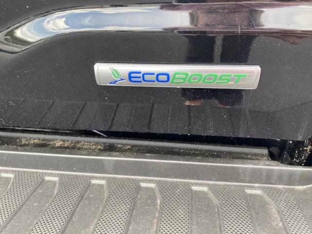 2021 Ford F-150 4X4 PLATINUM - 145