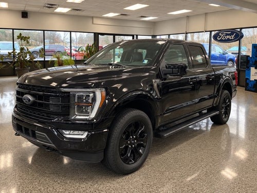 2023 Ford F-150 4X4 PLATINUM - 145